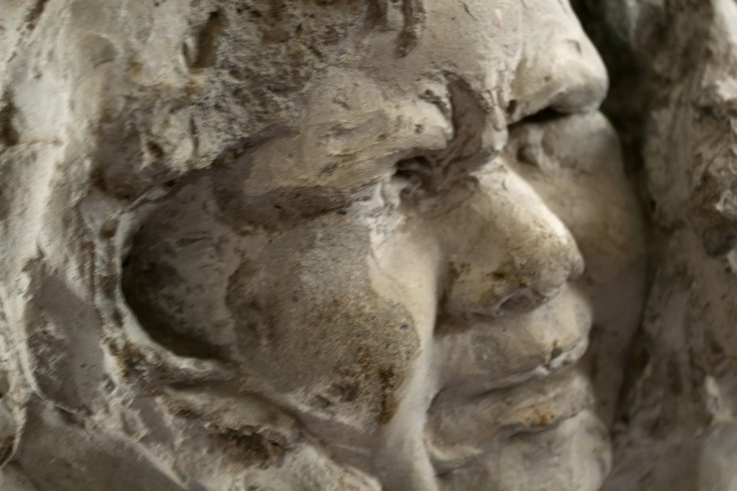 A Study of a Head by Solon Borglum