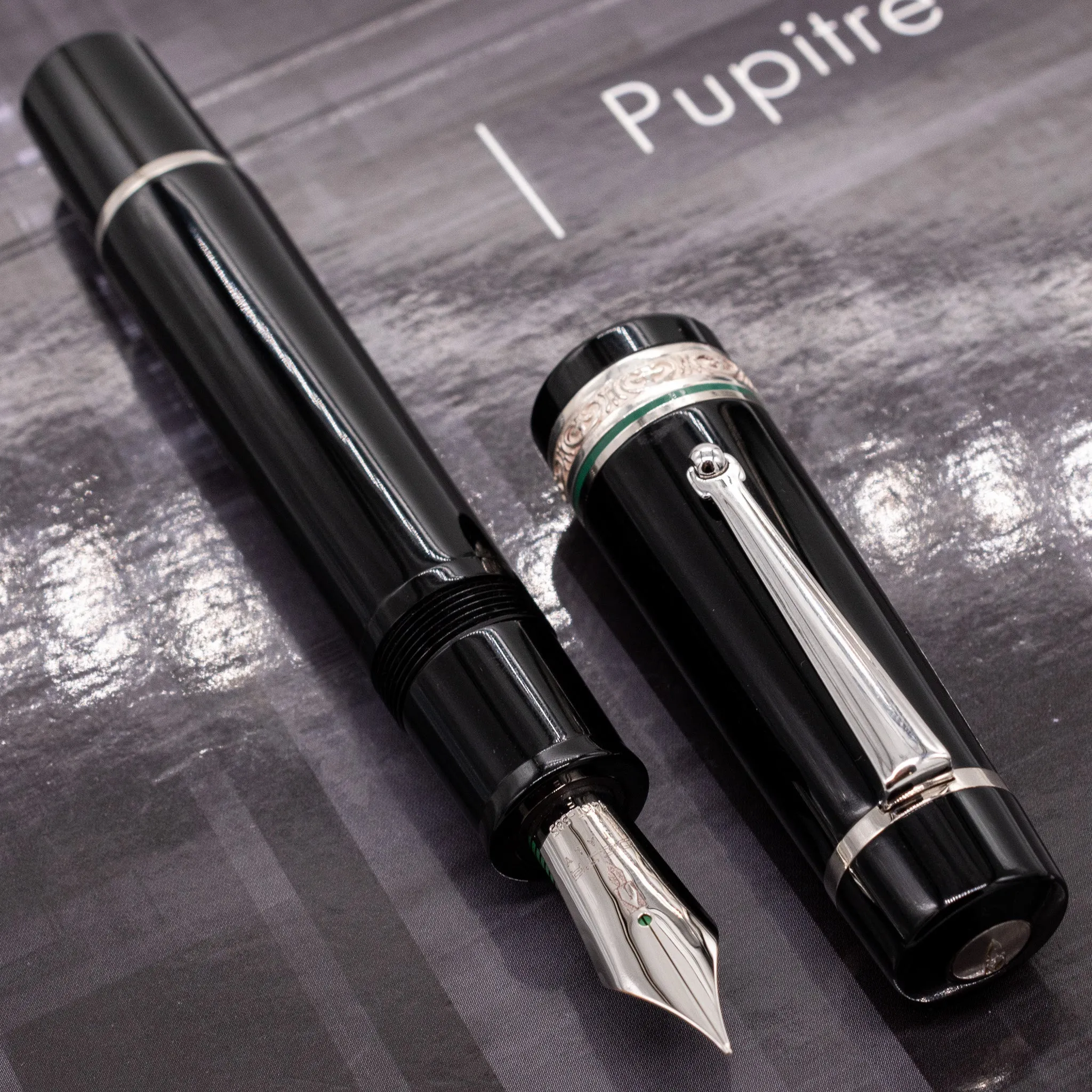 Delta Magnifica Green Fountain Pen